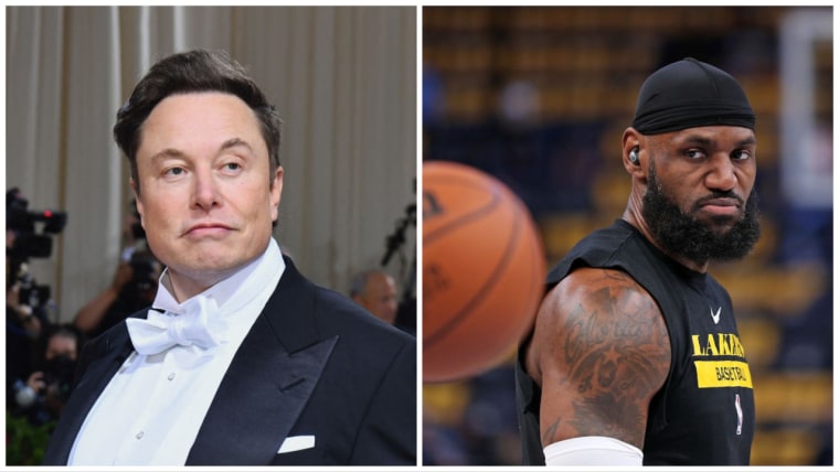 Elon Musk admits he's paying for LeBron James to keep his Twitter blue tick