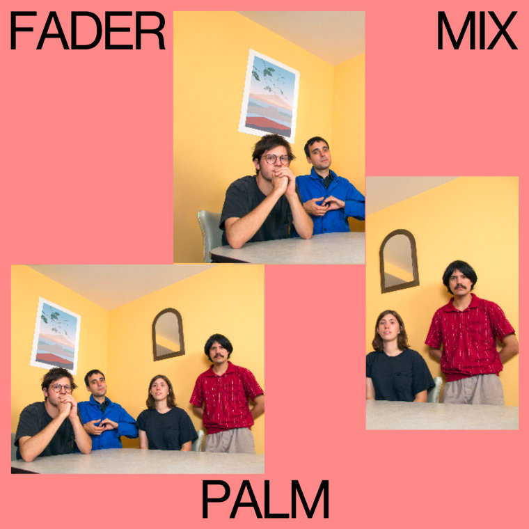 FADER Mix: Palm