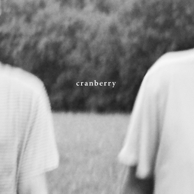 Listen to Hovvdy’s new album, “Cranberry” 