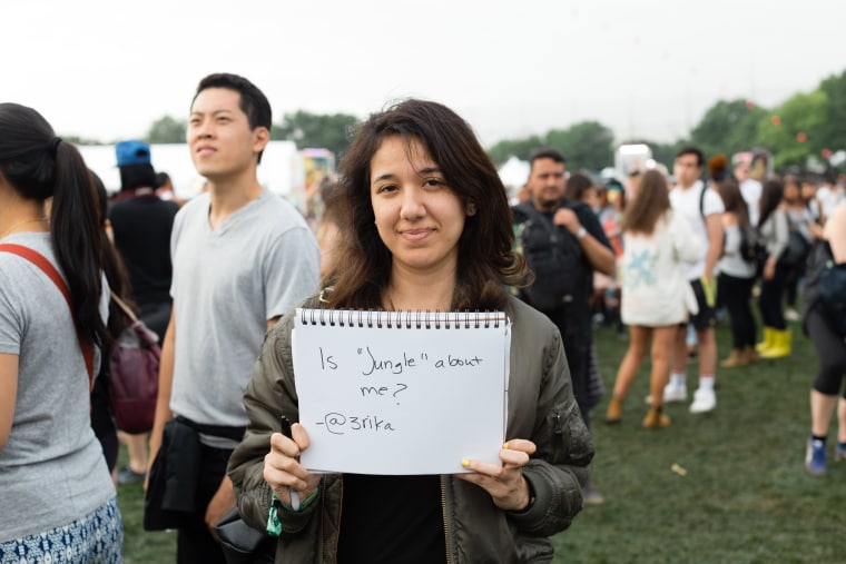 Messages From Governors Ball Fans To Drake