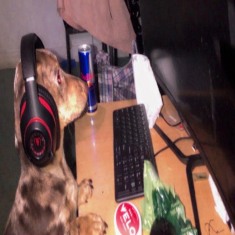 Jim Legxacy labors through grief on “idk idk”