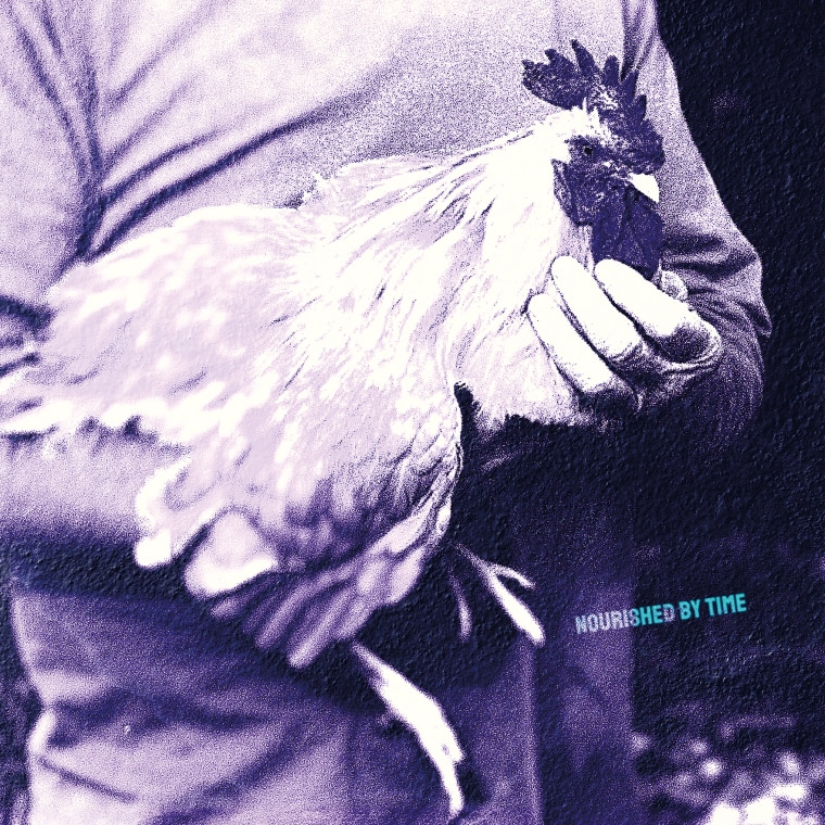 Nourished By Time announces new EP <i>Catching Chickens</i>, drops “Hand On Me”