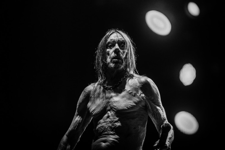 Iggy Pop teases new album <i>EVERY LOSER</i> with debut single, “Frenzy”