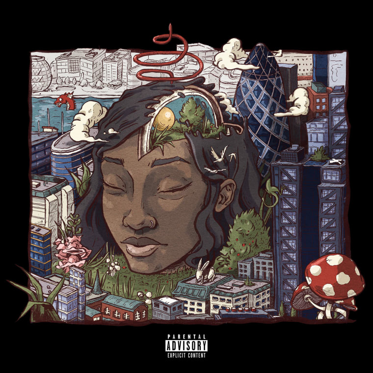 Listen To Little Simz’s <I>Stillness In Wonderland</i>