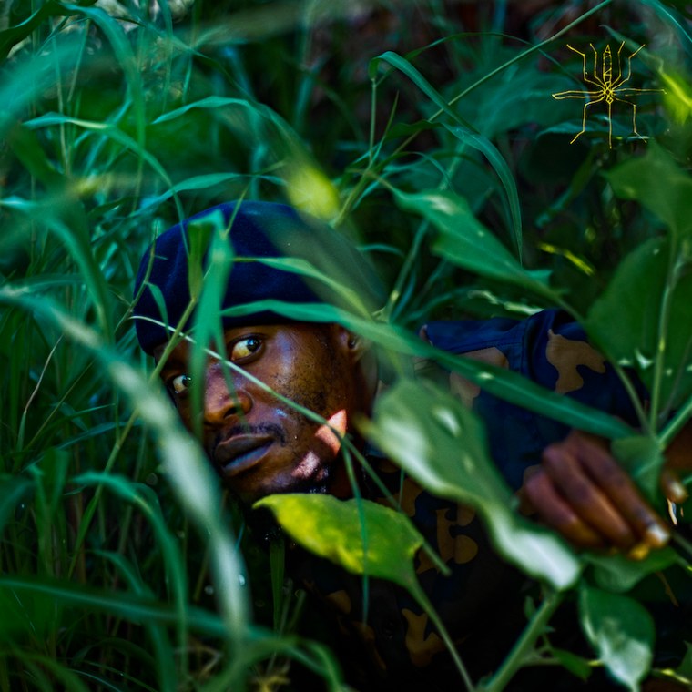 The 8 projects you should stream right now