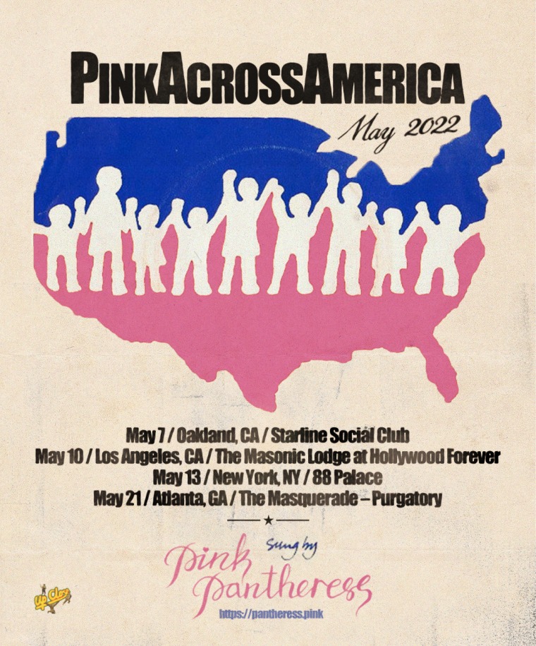 PinkPantheress reveals dates for first-ever North American shows