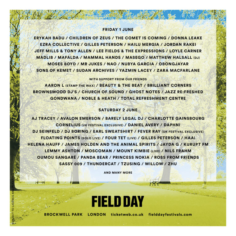 Erykah Badu to headline London festival Field Day