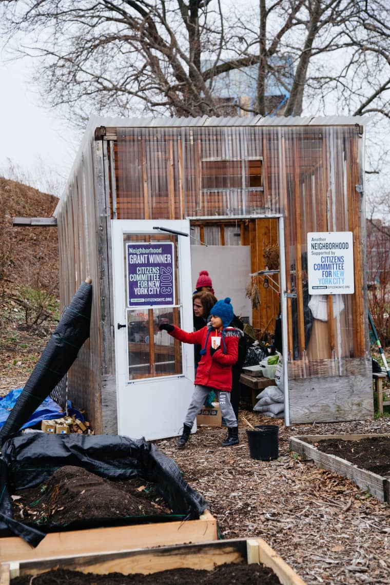 These New York Gardeners Are Fighting The System By Growing Food