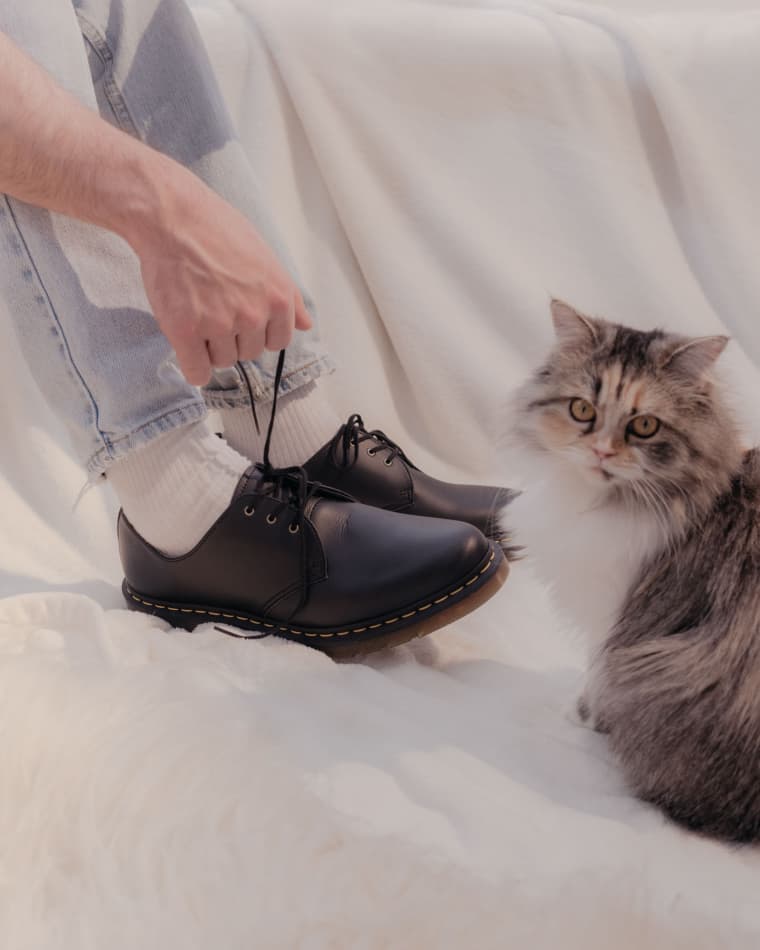 7 spring boots your pets want you to buy