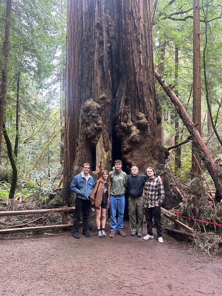 She’s Green will crush your shoegaze heart, softly